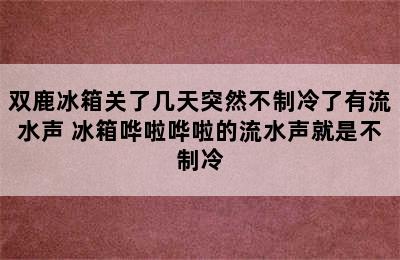 双鹿冰箱关了几天突然不制冷了有流水声 冰箱哗啦哗啦的流水声就是不制冷